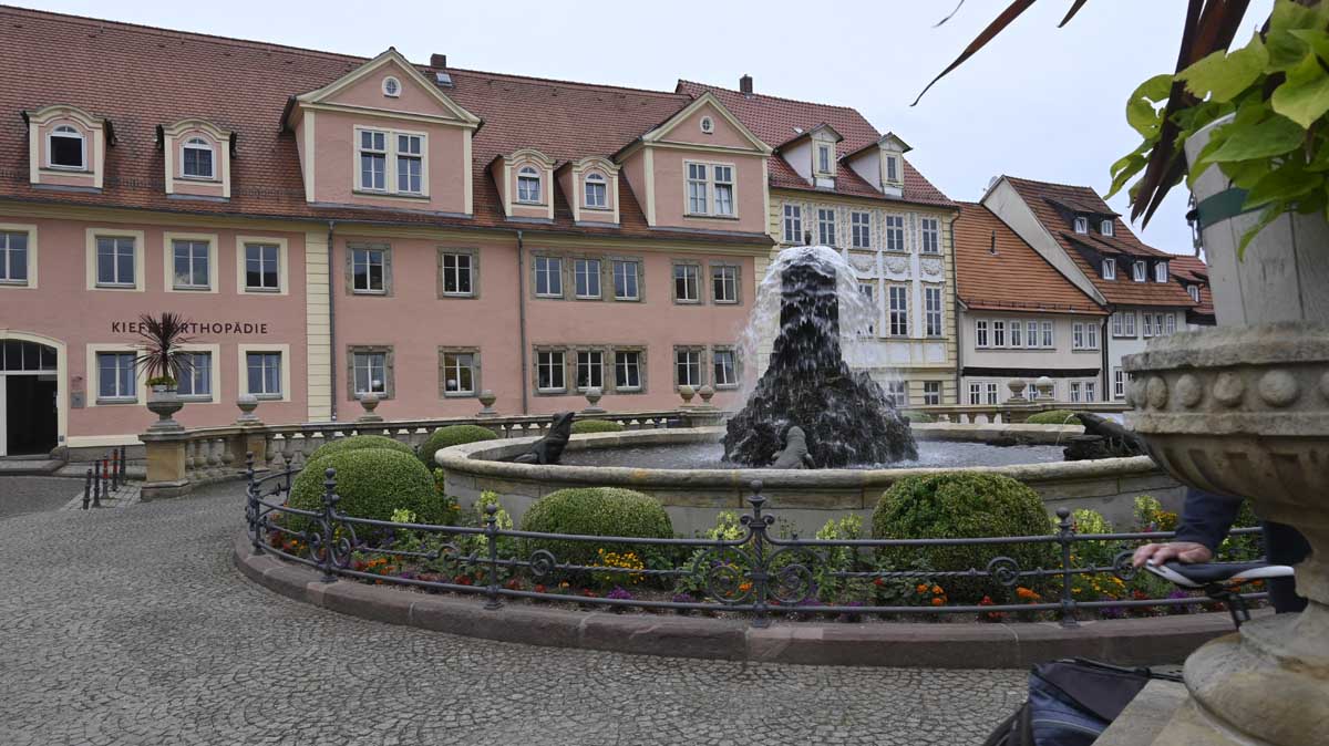 🌷 Pflanzung von 8.500 Blumenzwiebeln an der Wasserkunst: Frühjahrsblüte 2026 in Vorbereitung