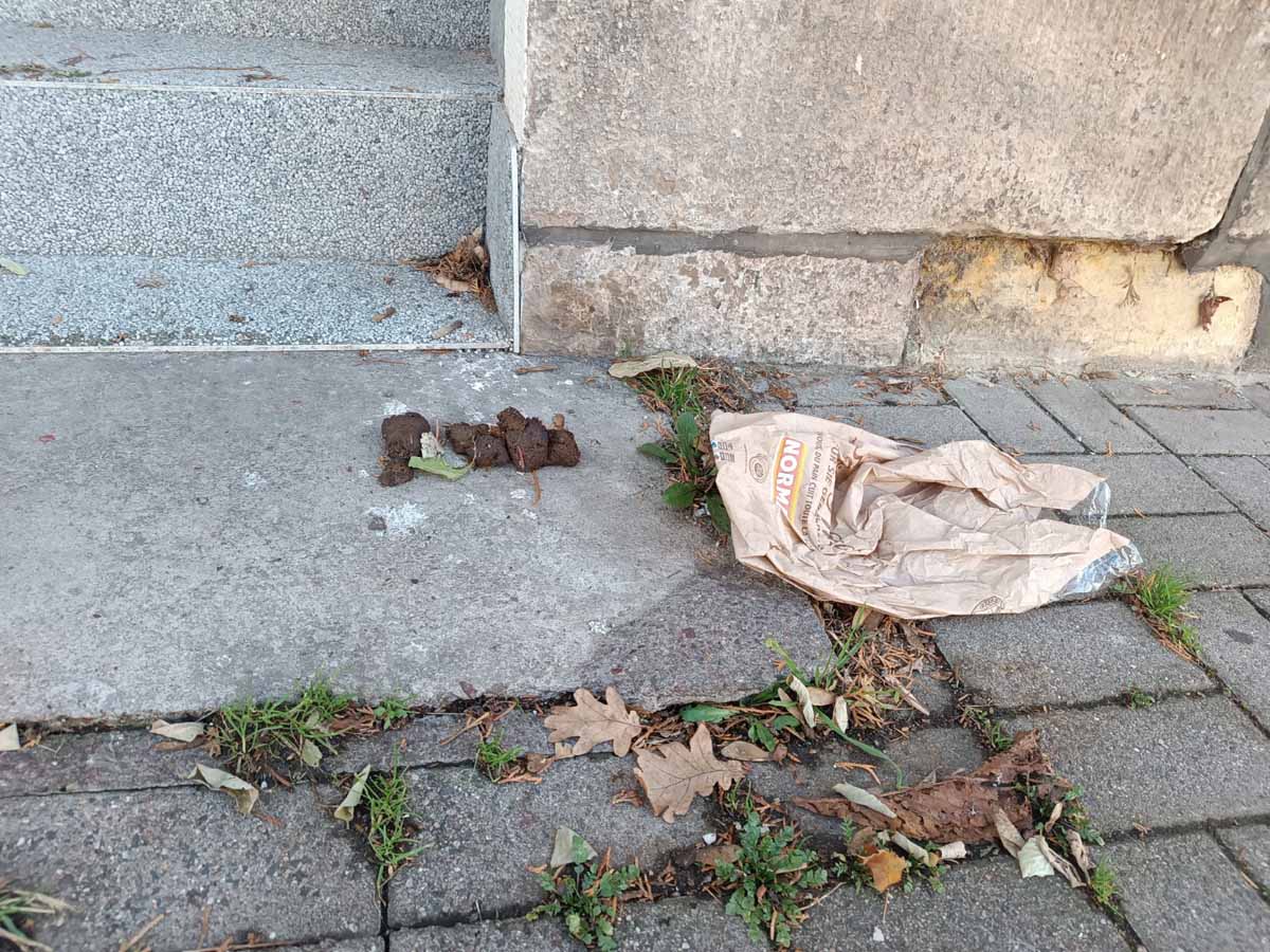 💩 Hundekot auf dem Gehweg – aufgenommen in der Cosmarstraße in Gotha