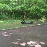 E-Scooter im Schlosspark Gotha abgestellt: Muss hier stärker kontrolliert werden?