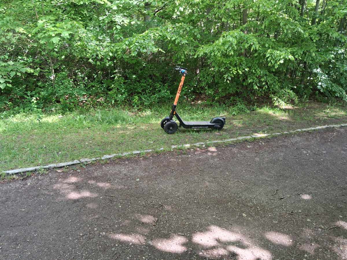 E-Scooter im Schlosspark Gotha abgestellt: Muss hier stärker kontrolliert werden?